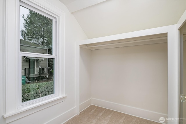 walk in closet featuring carpet floors