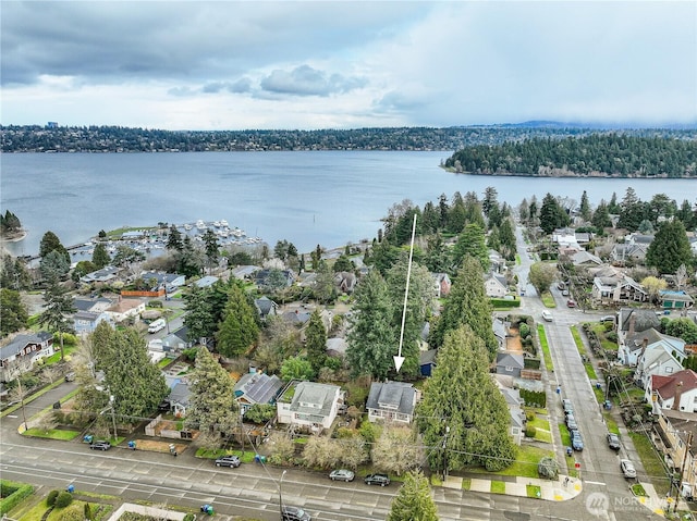 aerial view with a water view