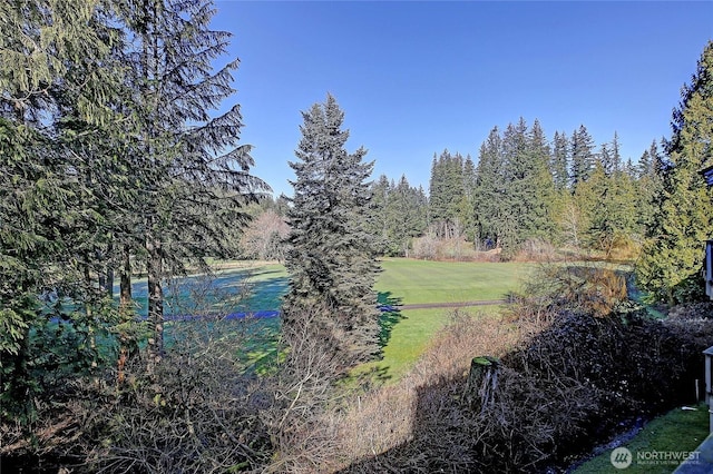 view of yard featuring a wooded view