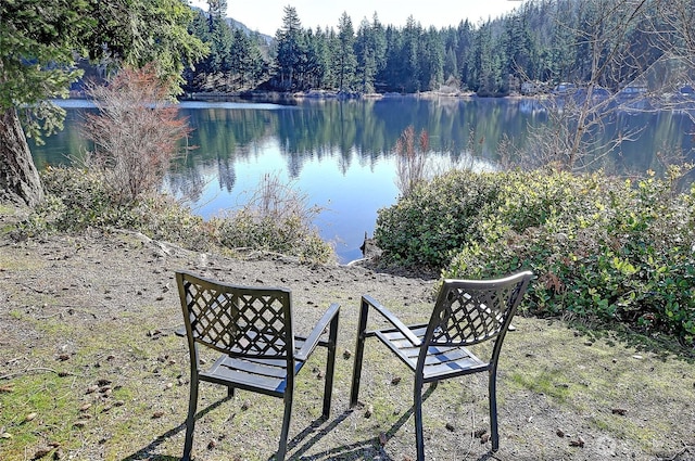 property view of water featuring a view of trees