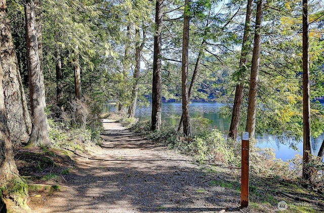 property view of water with a wooded view