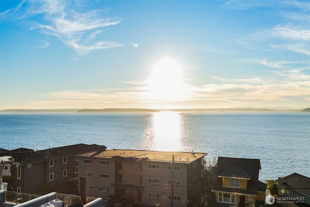 3833 59th Ave SW, Seattle, WA 98116 - water view