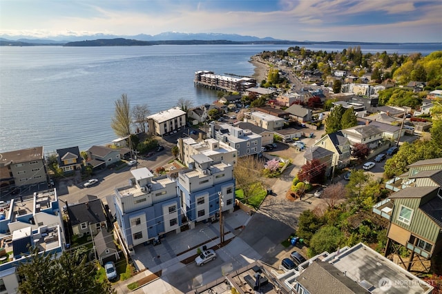 3833 59th Ave SW, Seattle, WA 98116 - aerial view of residential area with a water and mountain view