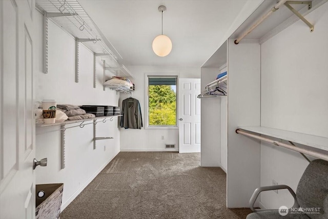 walk in closet featuring visible vents and carpet