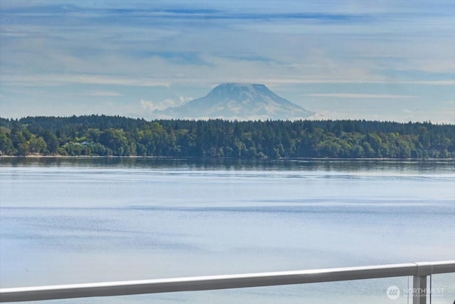 property view of water with a wooded view