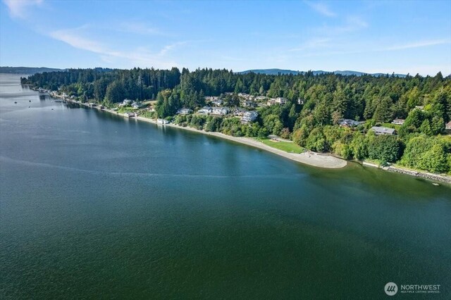 bird's eye view with a view of trees and a water view