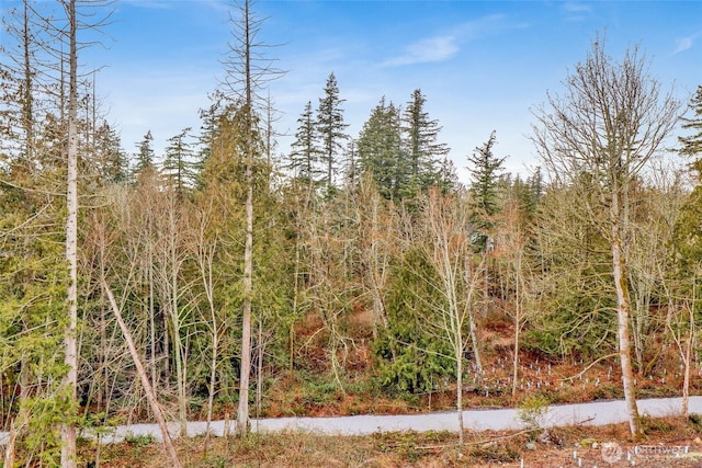 view of nature featuring a view of trees