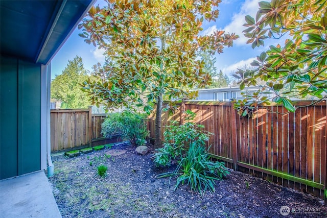 view of yard with a fenced backyard