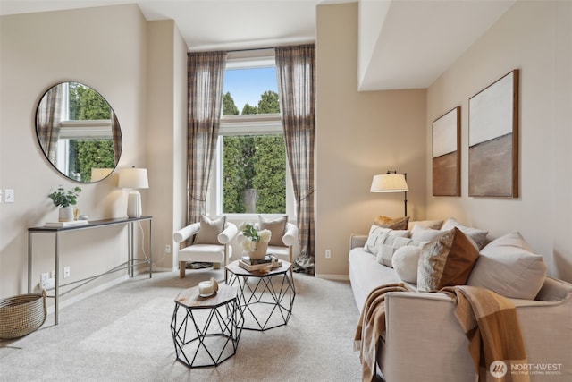 living room featuring baseboards and carpet