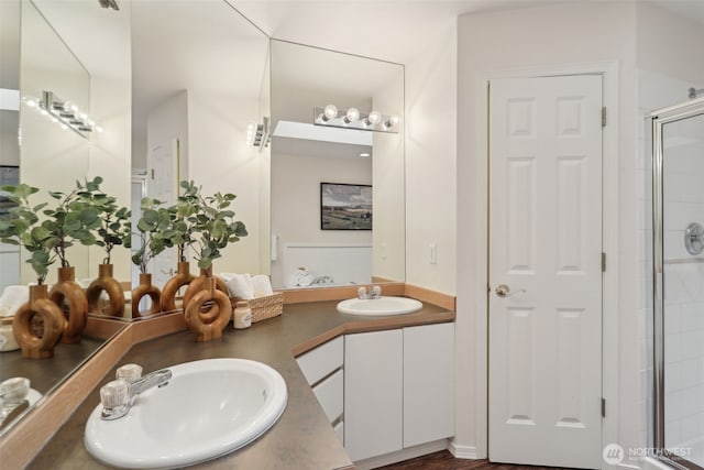 bathroom featuring a shower stall, double vanity, and a sink