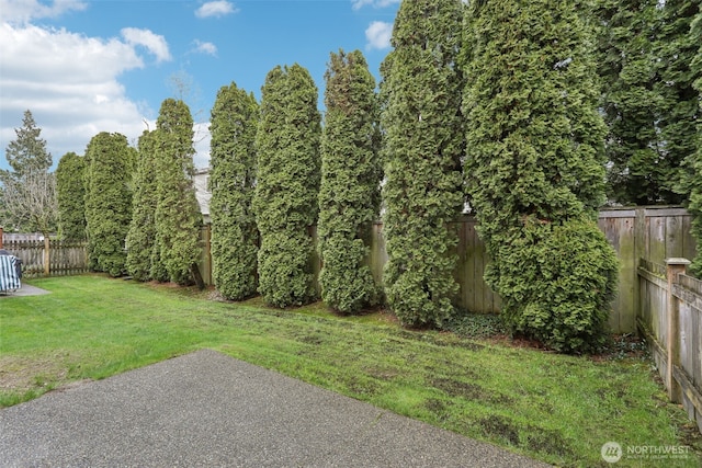 view of yard featuring a patio and a fenced backyard