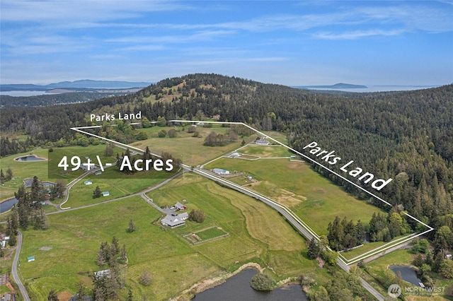 aerial view with a forest view and a mountain view