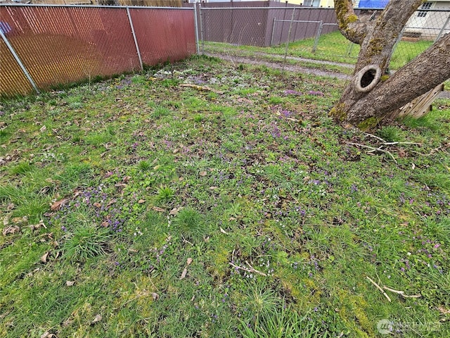 view of yard with fence