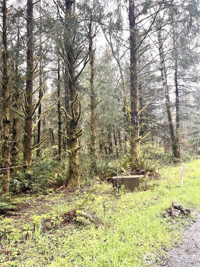300 Luttrell Ln, Ilwaco, WA 98624