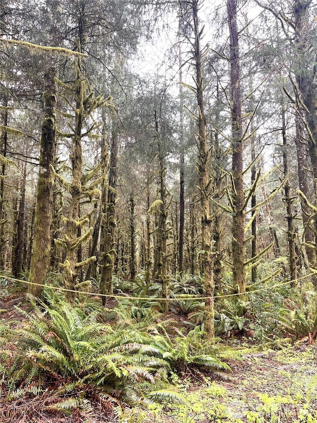 300 Luttrell Ln, Ilwaco, WA 98624