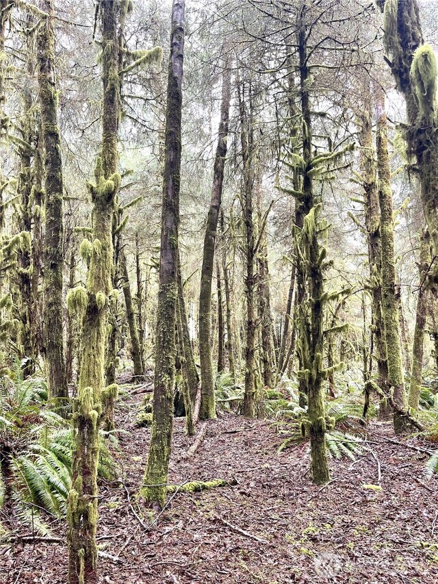 300 Luttrell Ln, Ilwaco, WA 98624