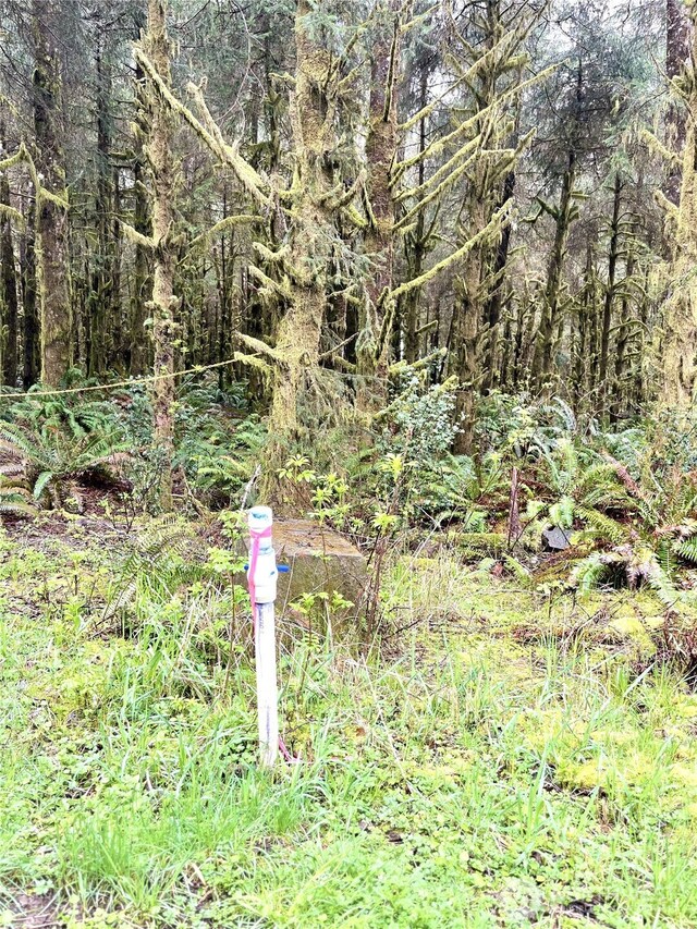 300 Luttrell Ln, Ilwaco, WA 98624