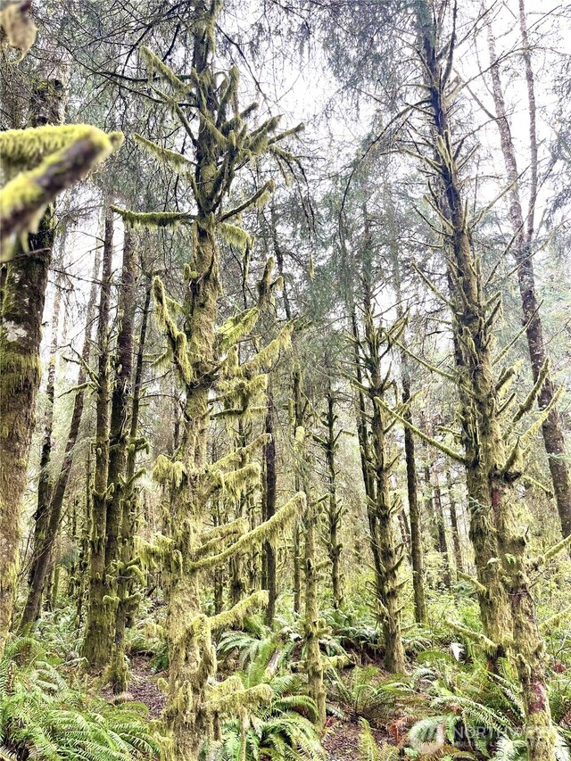 300 Luttrell Ln, Ilwaco, WA 98624