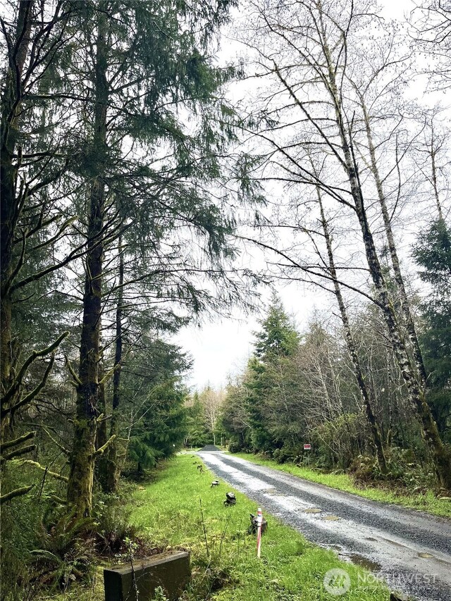 300 Luttrell Ln, Ilwaco, WA 98624