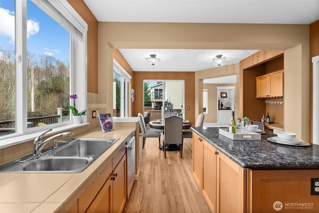 kitchen featuring a sink, light wood-style floors, stainless steel dishwasher, and a wealth of natural light