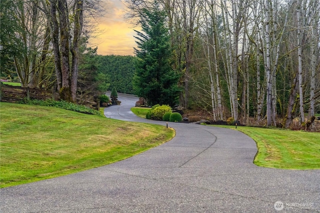 view of community featuring a lawn and curved driveway