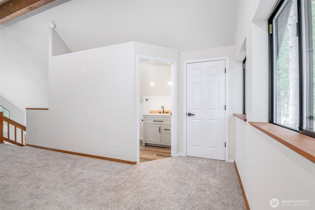 213 Crescent Beach Dr, Packwood, WA 98361 - interior space featuring a wealth of natural light, baseboards, a sink, and carpet floors