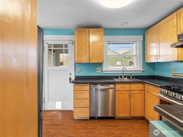 kitchen featuring stainless steel dishwasher, dark countertops, dark wood-style flooring, and a sink