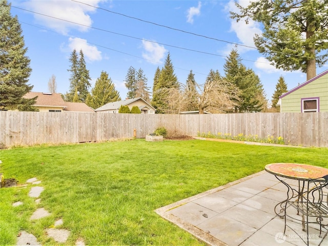 view of yard with a fenced backyard and a patio