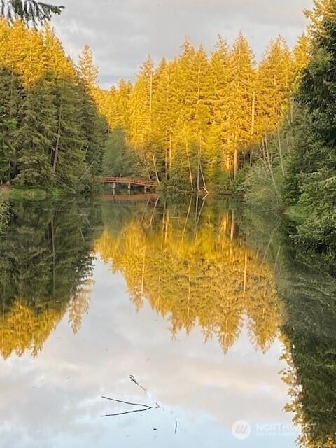 18512 Woodside Dr SE, Yelm, WA 98597