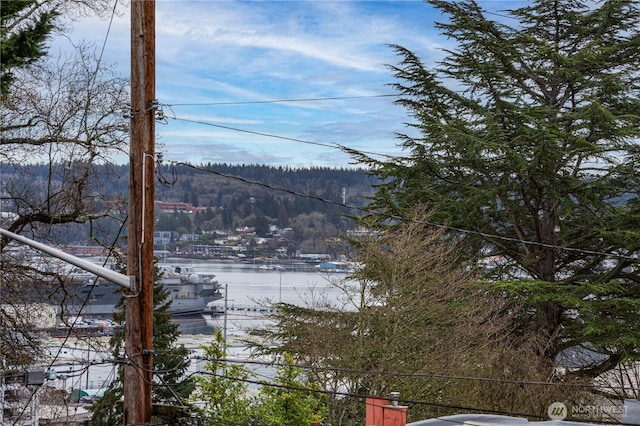 water view featuring a forest view