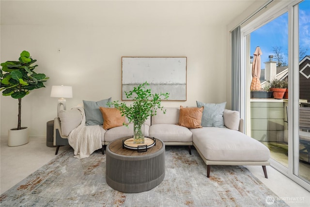 sitting room with carpet flooring