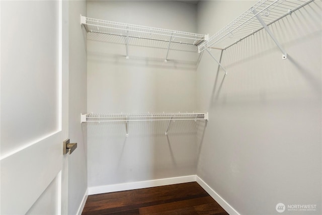 walk in closet with wood finished floors