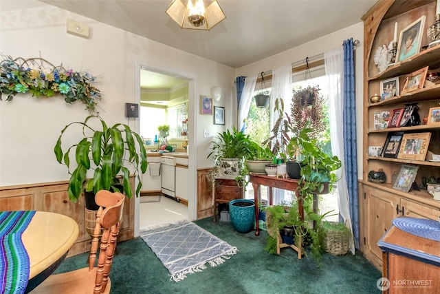 sitting room featuring plenty of natural light, carpet floors, and wainscoting