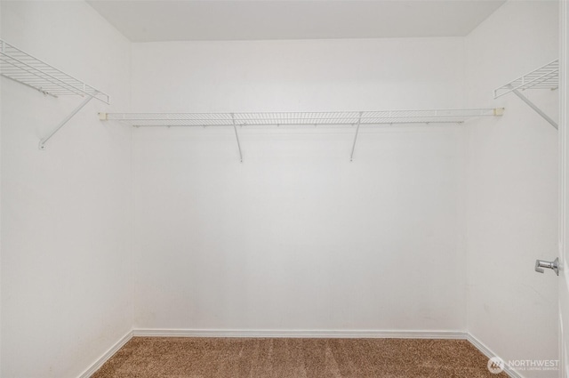 spacious closet with carpet flooring