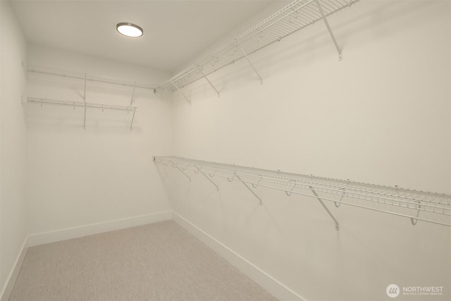 spacious closet with light colored carpet