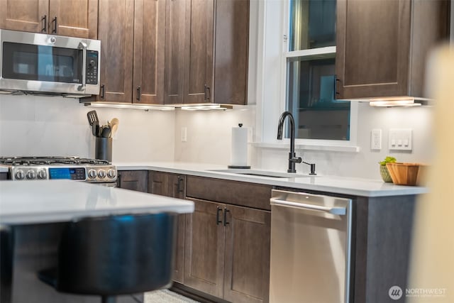 kitchen featuring a sink, dark brown cabinetry, light countertops, and stainless steel appliances