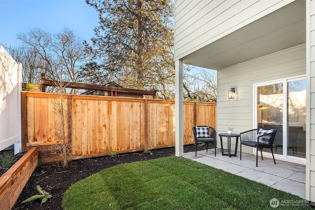 view of yard with a patio area and a fenced backyard