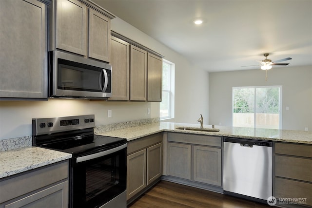 kitchen featuring ceiling fan, dark wood finished floors, light stone counters, stainless steel appliances, and a sink