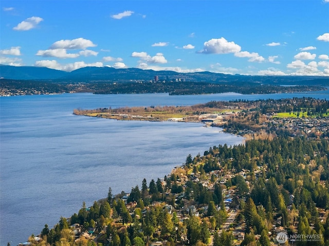 water view featuring a mountain view