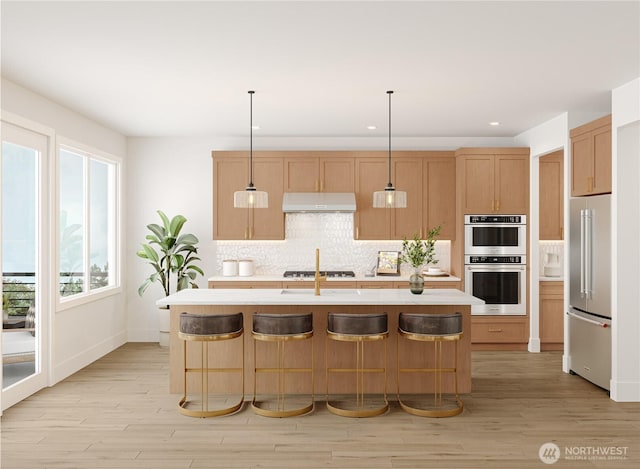 kitchen featuring light wood-type flooring, under cabinet range hood, tasteful backsplash, appliances with stainless steel finishes, and light countertops