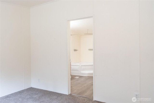 spare room featuring crown molding and carpet