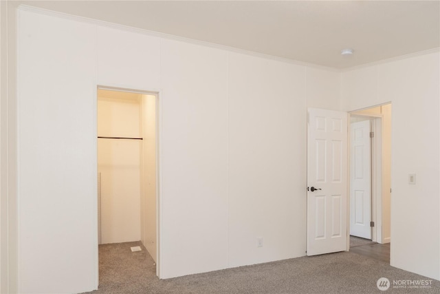 unfurnished bedroom featuring a walk in closet, carpet floors, a closet, and ornamental molding