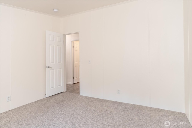 spare room featuring carpet and ornamental molding