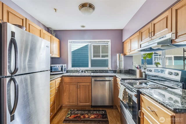 kitchen featuring under cabinet range hood, appliances with stainless steel finishes, light wood-type flooring, and a sink