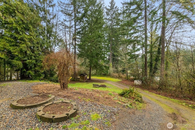 view of yard with driveway