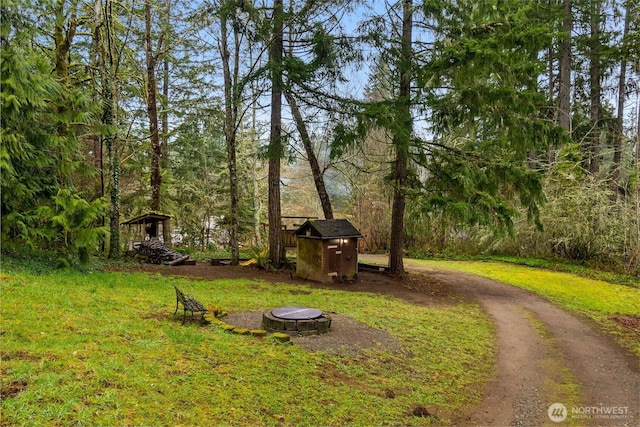 view of yard with an outbuilding, driveway, and a storage shed