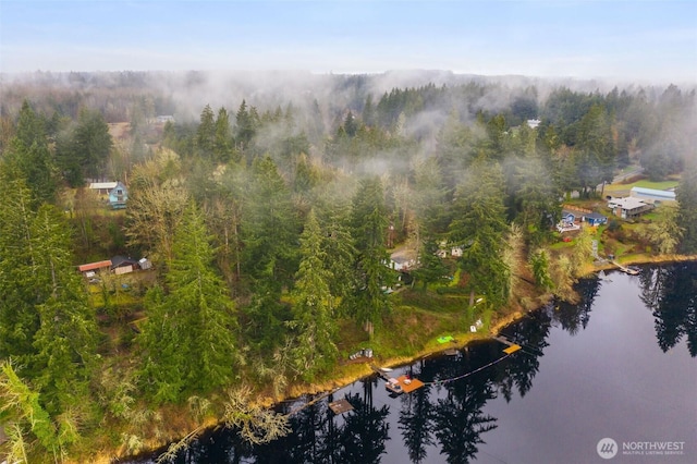 aerial view featuring a view of trees and a water view