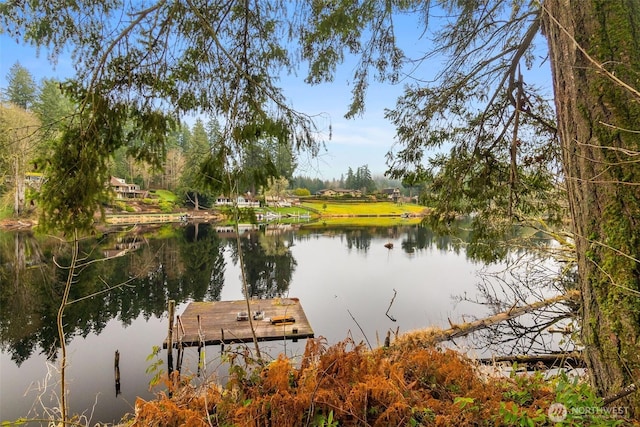 view of dock with a water view