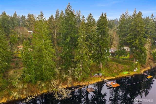 aerial view with a water view and a wooded view