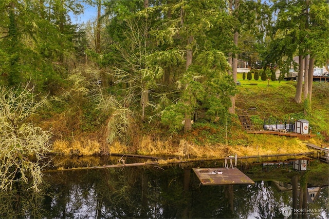 dock area featuring a water view